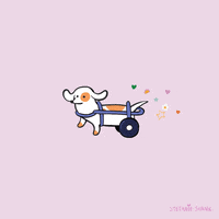 Sausage Dog GIF by Stefanie Shank