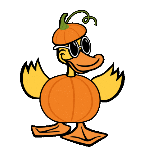 Car Wash Duck Sticker by Quick Quack
