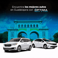 optimarentacar optima optima rent a car optimarentacar GIF