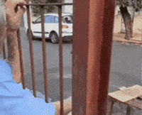 Caio GIF