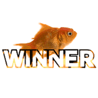 Winner Sticker by MAD Officiel