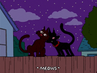 I Love You Cats GIF by The Simpsons
