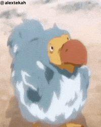 Dodo Ark GIF