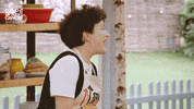 Bake Off Reaction GIF by The Great British Bake Off