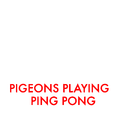 pigeonsplaying giphyupload funk ping pong pigeons Sticker