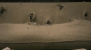 21 guns GIF by Green Day