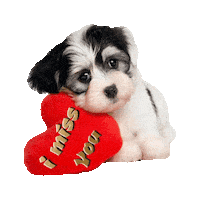 Miss You Sticker by imoji