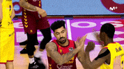 Liga Endesa Basketball GIF by ACB