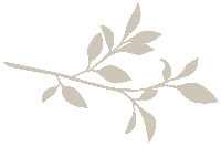 Garden Leaves Sticker by Yarra Trail