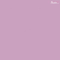 ilusiononline mexico diademuertos tradicion ofrenda GIF