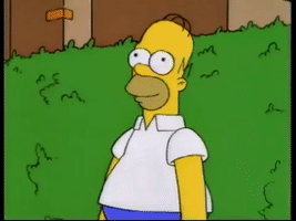 Homer bushes
