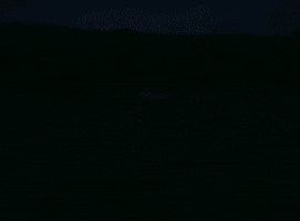 Audreynunajokesonme GIF by AUDREY NUNA