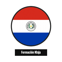 Flag Bandera Sticker by Formación Ninja