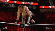 Sport Wwe GIF by USA Network