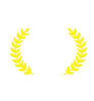 School Anglo Sticker by Colégio Suller Garcia