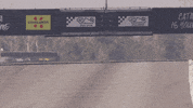 redbullracing france 2019 f1 french GIF