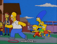 homer simpson GIF