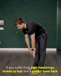 Flexibility GIF by YOGABODY