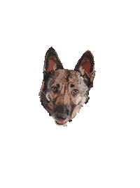 Designswithcare dog dogs german shepherd designswithcare Sticker