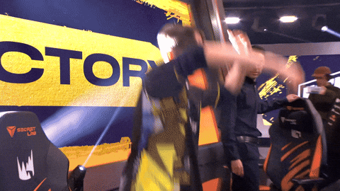 Navi Lec GIF by Natus Vincere