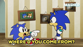 Where Are You From Sonic The Hedgehog GIF by Mashed