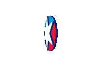 Chicago Marathon Running Sticker by Bank of America