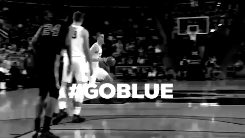 GIF by Michigan Athletics