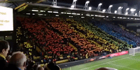 Watford Soccer Fans Show True Colors With Rainbow Tifo