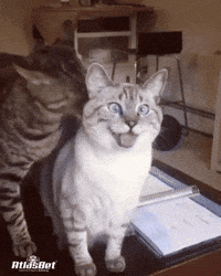 Komik GIF by ATLAS