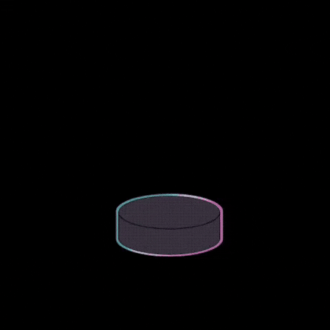 Hockey Bully GIF by HIGHspeeΔ