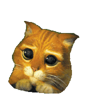 cat eyes STICKER by imoji