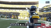 pittsburgh steelers football GIF by NFL