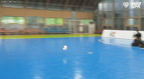 qwerpoiu22ppop giphyupload GIF