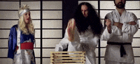 taekwondo wow GIF by Walk Off The Earth  