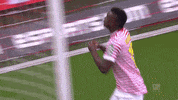 jhon cordoba soccer GIF by 1. FC Köln