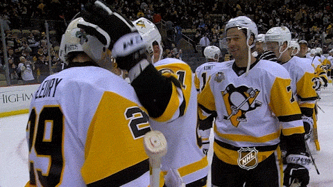 pittsburgh penguins GIF by NHL