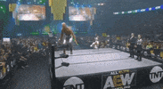 The Elite ÄEw GIF by All Elite Wrestling on TNT