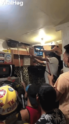 Huge Snake Extracted From Ceiling GIF by ViralHog
