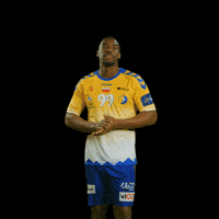 France Handball GIF by VIVE KIELCE
