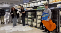 Climate Activists Pour Out Milk in Edinburgh Grocery Store