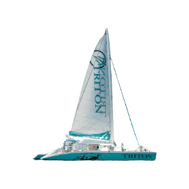 triton_charters giphygifmaker triton tritoncharters tritoncatamaran Sticker