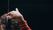 Official Music Video Cat Clyde GIF by Boy Golden