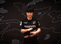 Not Happening No Way GIF by 100 Thieves