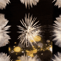 Happy New Year Fireworks GIF by TeaCosyFolk