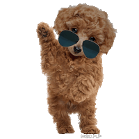 dog hello Sticker by MISO PUP