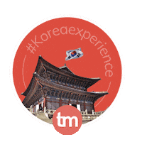 Travel Korean Sticker by TravelMate Intercâmbio