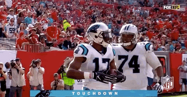 2018 nfl football GIF by NFL