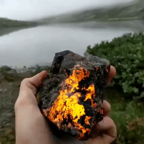 bombtune giphyupload GIF