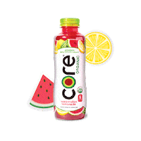 water watermelon Sticker