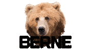 Logo Bear Sticker by Berne Workwear